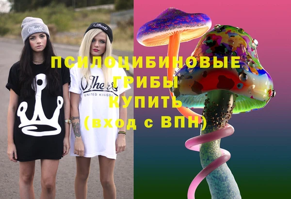 метамфетамин Богданович