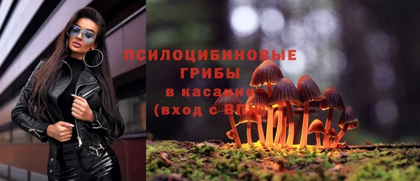 mdma Богородицк