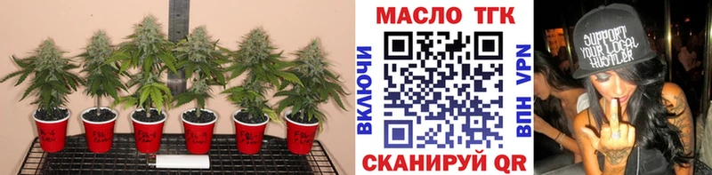 закладка Мариинский Посад ТГК концентрат