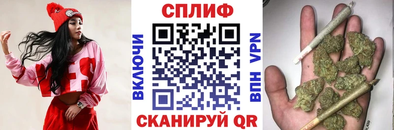 дарнет шоп  Мариинский Посад  нарко площадка какой сайт  Каннабис тримм 